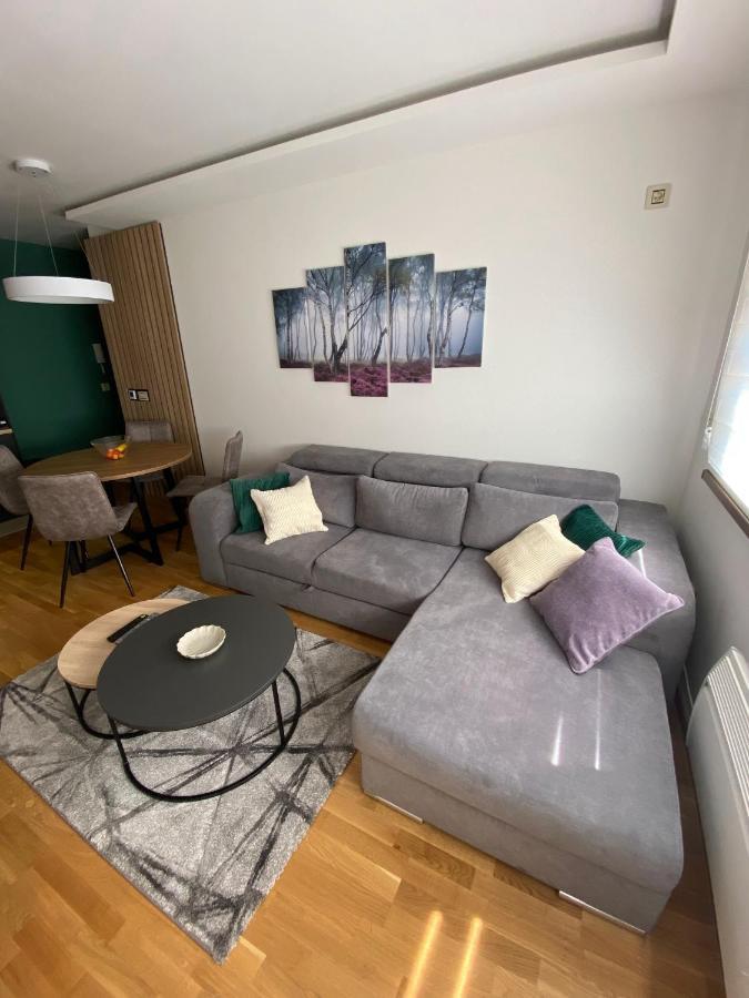 זלאטיבור Apartman Pinora, Bazen&Spa מראה חיצוני תמונה