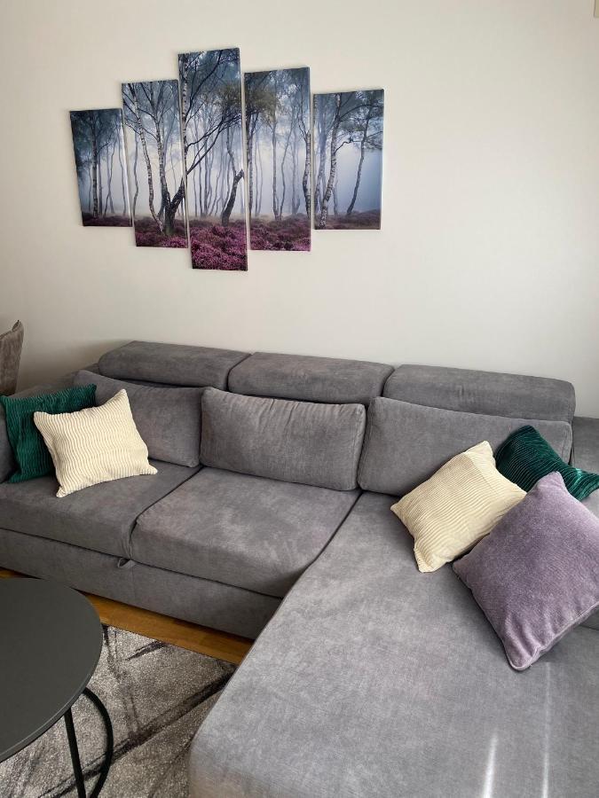 זלאטיבור Apartman Pinora, Bazen&Spa מראה חיצוני תמונה